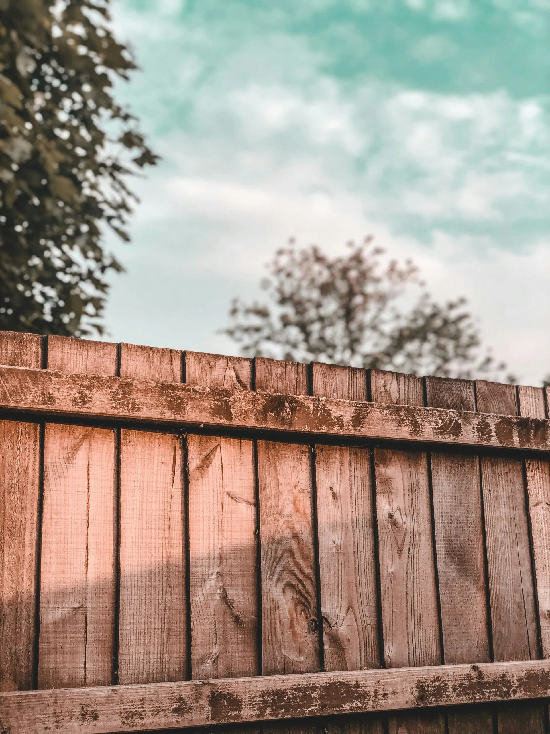 Residential fence line restored with exterior cleaning