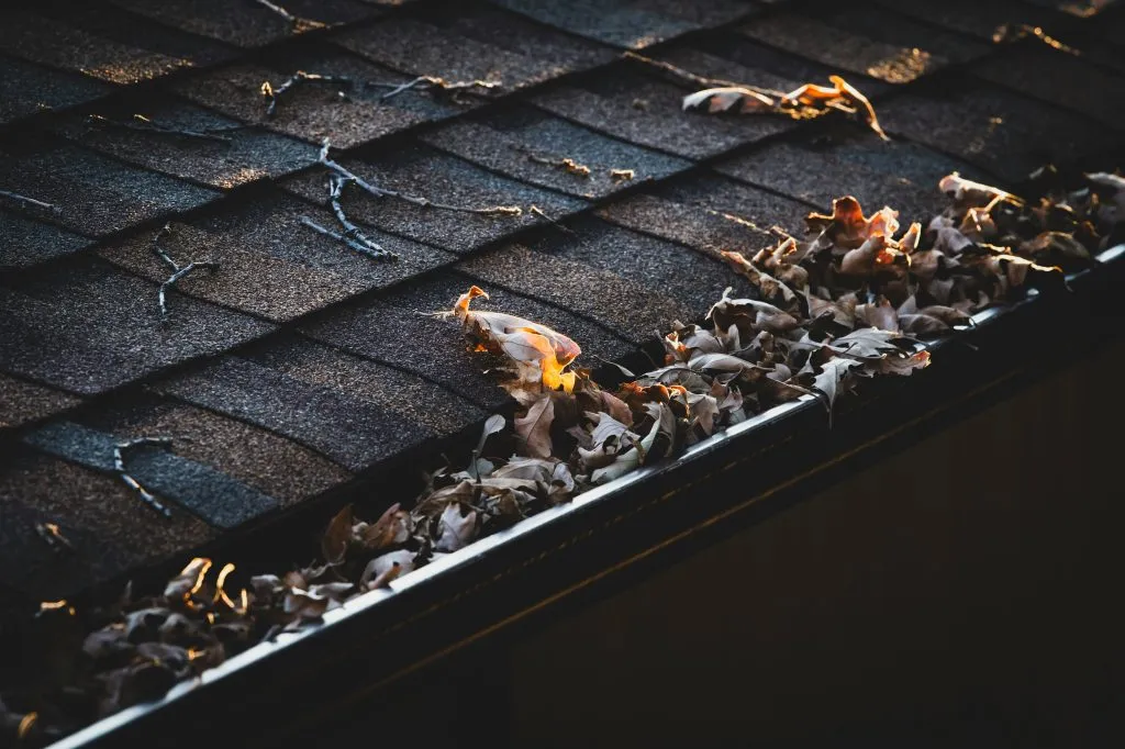 Gutter and roof edge cleared of debris
