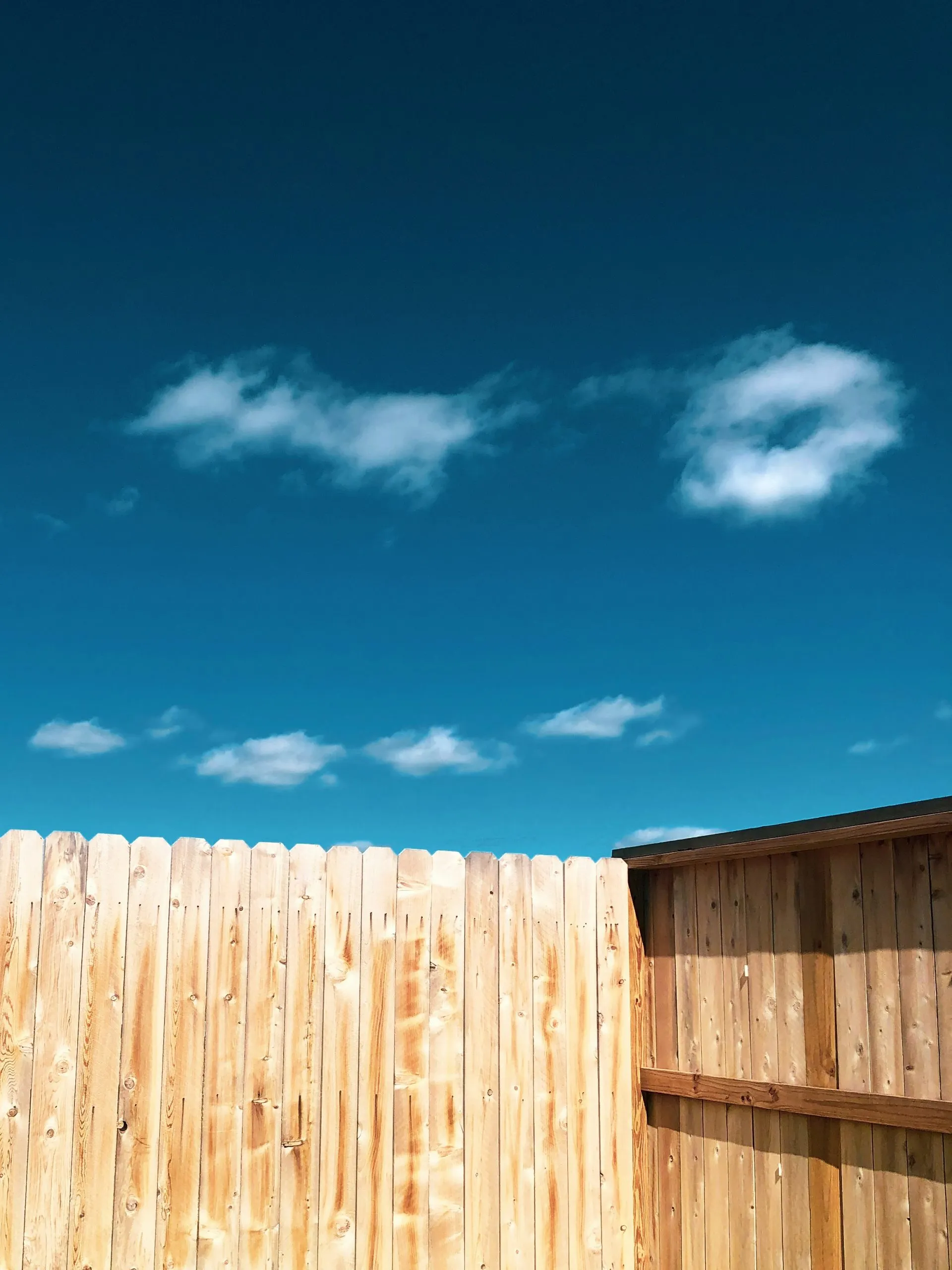Wood fence and gate after a safe exterior wash